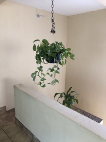 Casa Flores & Flores