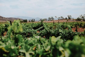 Rancho El Parral