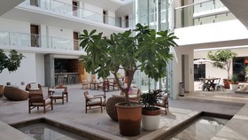 Hotel Catedral