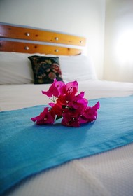 Hotel La Concha Beach Resort