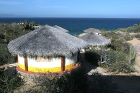 Palapas Ventana