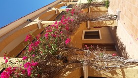 Hacienda Suites Loreto