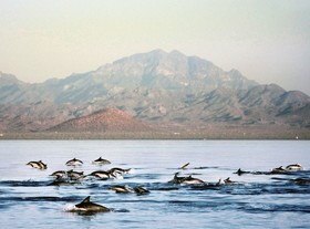 Loreto Bay Golf Resort & Spa at Baja