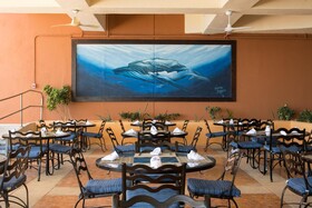 Club Regina Los Cabos