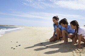 Four Seasons Resort Los Cabos at Costa Palmas