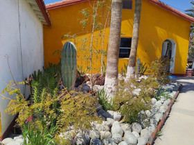 Hotel Las Palmas
