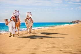 Casa Maat at JW Marriott Los Cabos Beach Resort & Spa