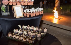 Casa Maat at JW Marriott Los Cabos Beach Resort & Spa