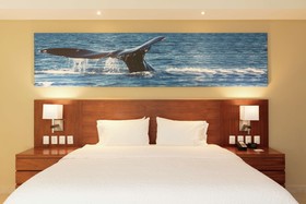 Hampton Inn & Suites by Hilton Los Cabos