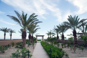 JW Marriott Los Cabos Beach Resort & Spa