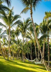 One&Only Palmilla