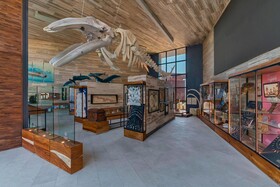 Solaz, A Luxury Collection Resort, Los Cabos