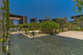 Solaz, A Luxury Collection Resort, Los Cabos