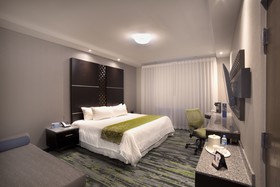 Hotel Araiza San Luis