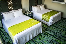 Hotel Araiza San Luis