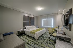 Hotel Araiza San Luis