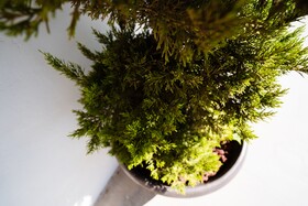 Hotel & Rv Park Rosa Evelyn