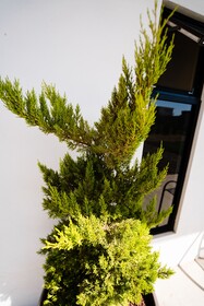 Hotel & Rv Park Rosa Evelyn