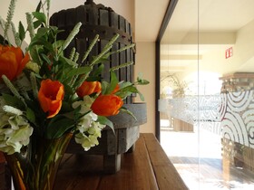 Hotel Hacienda Santana