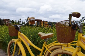 Hotel Boutique Rancho Tecate