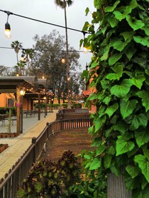 Hotel Boutique Rancho Tecate