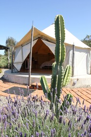 Ally Glamping