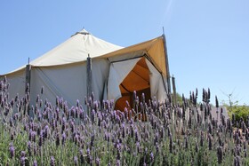 Ally Glamping