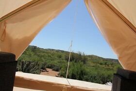 Ally Glamping