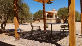 Alma Liebre Vinedos Del Valle