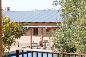 Alma Liebre Vinedos Del Valle