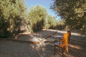 Alma Liebre Vinedos Del Valle