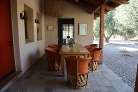 Alma Liebre Vinedos Del Valle