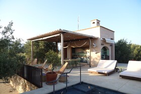 Alma Liebre Vinedos Del Valle