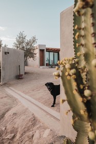 Casa Michaus