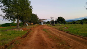 Danik Valle
