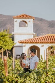 Hacienda Los Olivos, Valle de Guadalupe