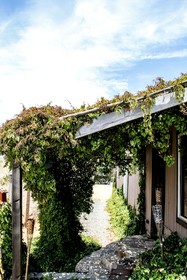 Posada San Antonio