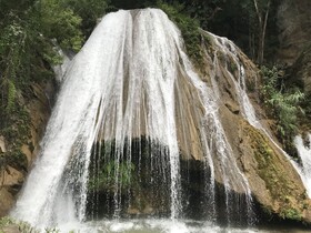 Alma Mia