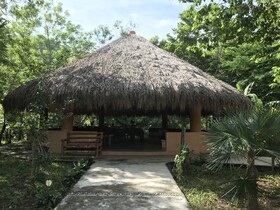 Alma Mia