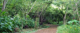 Gaia Paraiso