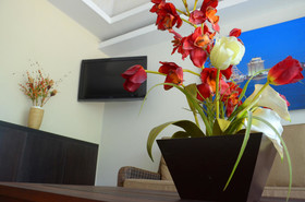 Hotel Delfines