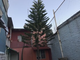 Casa Mexicana Hostal