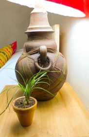 Hotel Cannacare by Oyo Rooms