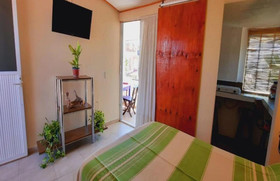 Hotel Cannacare by Oyo Rooms