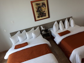 HS HOTSSON Smart Chapala