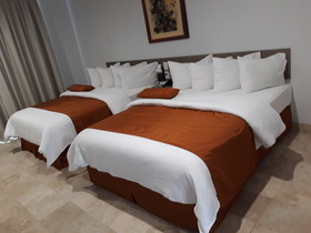 HS HOTSSON Smart Chapala