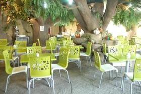 Aranzazu Eco
