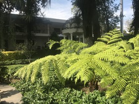 Ronda Minerva Hotel