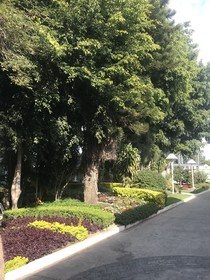Ronda Minerva Hotel