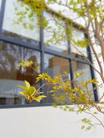 Blue Pepper Premium Rooms